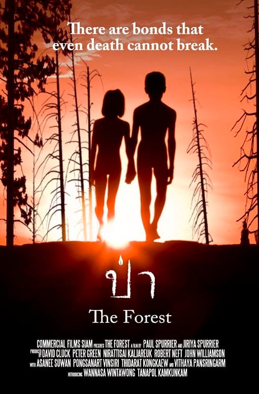 The Forest (2016) ป่า