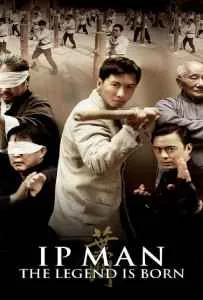 The Legend Is Born Ip Man (2010)