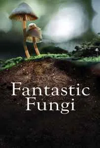 Fantastic Fungi (2019) เห็ดมหัศจรรย์ Fantastic Fungi (2019) เห็ดมหัศจรรย์